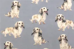 【ゆきちゃん限定】X2630 ダックス シェーデッドクリーム グレー 1m