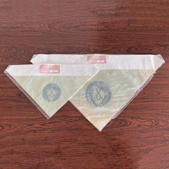 Item thumbnail for item 4acec4e5-9c62-42d0-ac08-c64260f793c9