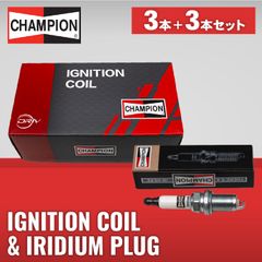 CHAMPION プラチナスパークプラグ LR005253G8本セット - メルカリ