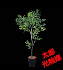 光触媒 人工観葉植物 ウォールグリーン フェイクグリーン タイワン 