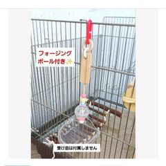 バードトレーニング3点セット インコ おもちゃ フォージングトイ j11