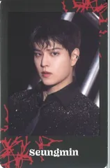 StrayKids セット販売 Seungmin 2024 dominATE JAPAN 枠付