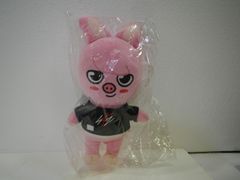 TWICE BABY LOVELYS アイス　ぬいぐるみバッチ サブリー　サナ TWICE SANA BABY LOVELYS アイスぬいぐるみバッチ SAVELY サブリー