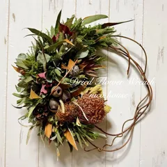 2026年最新】グレビレアゴールドの人気アイテム - メルカリ