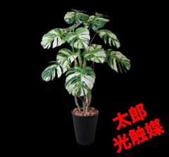 光触媒 人工観葉植物 ウォールグリーン フェイクグリーン モンステラ
