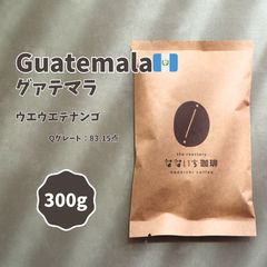 8グァテマラSHB ウエウエテナンゴ 農薬化学肥料不使用 Qグレード 800g