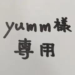 yumm様専用　ランチョンマット 2枚セット 25×35 ハンドメイド