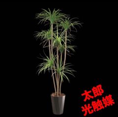 光触媒 人工観葉植物 ウォールグリーン フェイクグリーン モンステラ