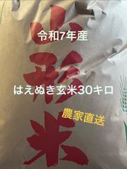 関東甲信越地方限定発送 秋田県産 令和7年産あきたこまち 精米済27キロ