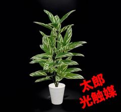 光触媒 人工観葉植物 ウォールグリーン フェイクグリーン モンステラ