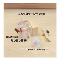 A8　くるくるフォージントイ3点イセット　バードトイ　難易度高め⭐⭐ A8 くるくるフォージントイ3点イセット バードトイ 難易度高め