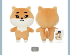 DAY6 デイシックス ジャマル ケ 出品