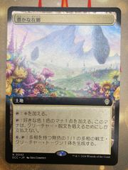 MTG 樹木茂る山麓 KTK日本語3枚セット - メルカリ
