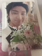 Seventeen ディエイト FML CARAT Ver.