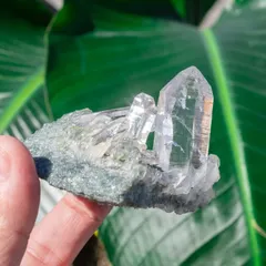 【一点物】 ヒマラヤ水晶原石 【121g】クラスター・透明・タビー・レシーバー・バーコード / クリスタル ヒマラヤ産 