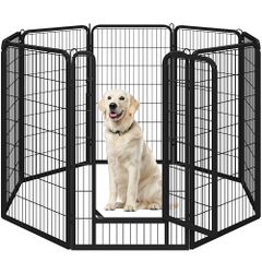 Item thumbnail for item 6d34a0a4-12d4-499f-853c-9387b1e3369f