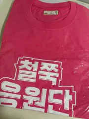 興国生命ピンクスパイダーズツツジ応援団 kovo レディースバレーボール ヨンギョン