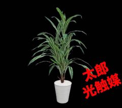 光触媒 人工観葉植物 ウォールグリーン フェイクグリーン モンステラ