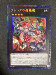 フレシアの蟲惑魔 25th クオシク 絵違い - メルカリ