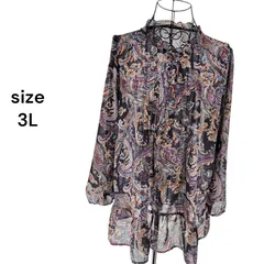 【美品】長袖ブラウス ロング丈 マルチカラー 透け感 総柄 長袖 ３L レディース