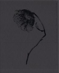애니메이션 Blu-ray NieR:Automata Ver1.1a Blu-ray Disc BOX 1