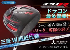 他にない！ドクロ輝く世界最強高反発の飛び! ダイナゴルフ 悪童 ワルド