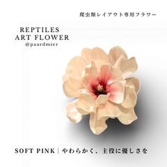 Item thumbnail for item 2750b5a5-8c01-4cd8-ba63-021ea3cdd3b6