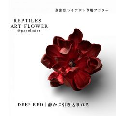 Item thumbnail for item 84b756f4-d2bf-4d81-b648-12a713adf528