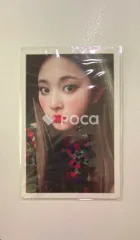 TWICE ツウィ SIGNAL 予約販売