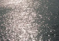 僕のヒーローアカデミア 漫画