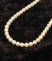 ネックレス SV パール 6.0mm レディース