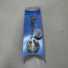 東京ディズニーリゾート シンデレラ城 ルーペ キーホルダー 未使用品