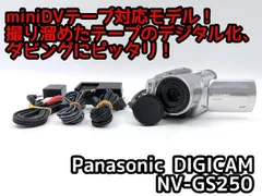 2026年最新】nv-gs250の人気アイテム - メルカリ
