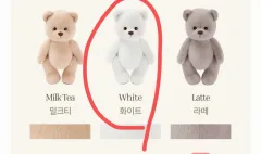 テディテイルズ レナベア ウール Mサイズ