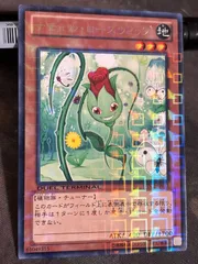 kw4 75 ナチュル・ローズウィップ DTC 字レア  遊戯王 DT