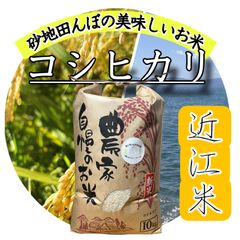 令和7年新米】近江米！ミルキークイーン5kg - メルカリ
