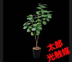 光触媒 人工観葉植物 ウォールグリーン フェイクグリーン イチョウの木