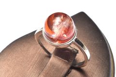 Item thumbnail for item f0173303-6949-4038-92fb-61fc06a4cfe4