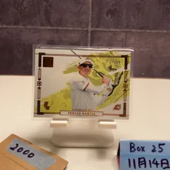 2024 Panini Impeccable LIV Golf Sergio Garcia 12/99 Fireballs GC カード