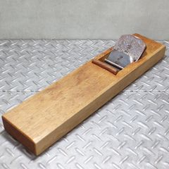 希少❗ペカンナッツ カンザ❗7号良品接木❗背丈130cm位 - メルカリ