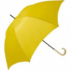 Item thumbnail for item 4ffc5343-4bdb-41e3-a11d-2bd06c0f6e05