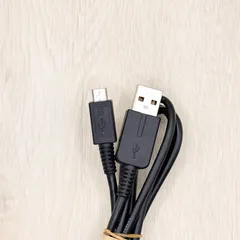 PCH-2000 SONY ソニー 純正 充電ケーブル 充電 チャージャー USBケーブル PlayStation Vita PSVita プレイステーション ビータ ヴィータ PCH-2000用 プレステ 本体用 80303-115