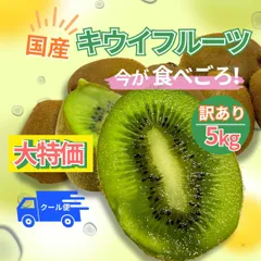 大特価　愛媛県産　訳あり　キウイ　５キロ 　クール便発送　柔らかい　食べ頃
