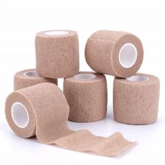 Item thumbnail for item 10fc9106-1569-4ed2-886d-68e90c59723b