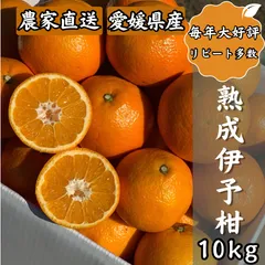 【伊予柑】毎年大好評！ いよかん 10kg ★順次発送中★ 訳あり サイズ混合 家庭用 宮内伊予柑 愛媛 柑橘 みかん 果物 くだもの フルーツ おすすめ 人気 お取り寄せ お得 グルメ 大人気 数量限定 訳あり イヨカン 農家直送 送料無料