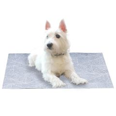 Item thumbnail for item ea3dc476-d5c0-4e11-87b7-2bb6fe0aa78c