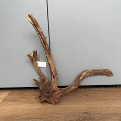 2026年最新】ホーンウッド adaの人気アイテム - メルカリ