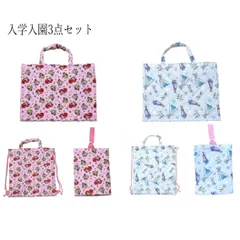 ディズニープリンセス 入学入園3点セット レッスンバッグ 体操服袋 シューズバッグ トートバッグ アナ雪 こども 小学校 お稽古 習い事