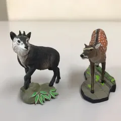 2026年最新】カモシカの角の人気アイテム - メルカリ