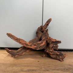 アヌビアス ナナ（抜き苗）3株 - メルカリ